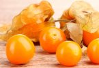 Golden Berry benefícios
