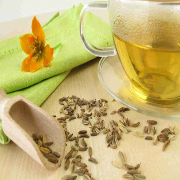 Chá de Erva Doce: Conheça os benefícios - Tudo Ela