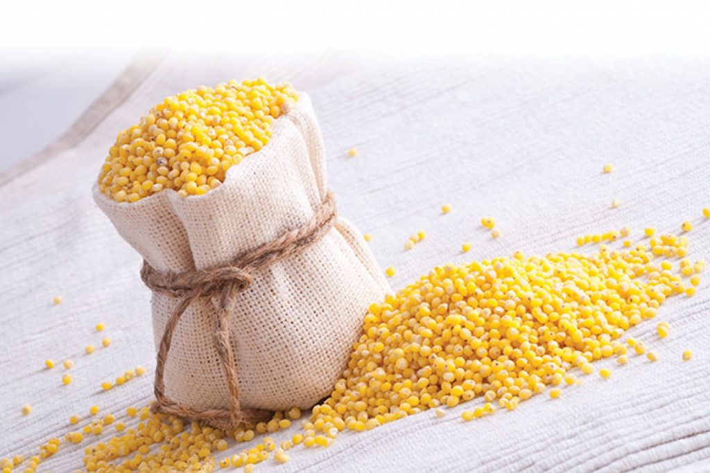 milletbeneficios Tudo Ela