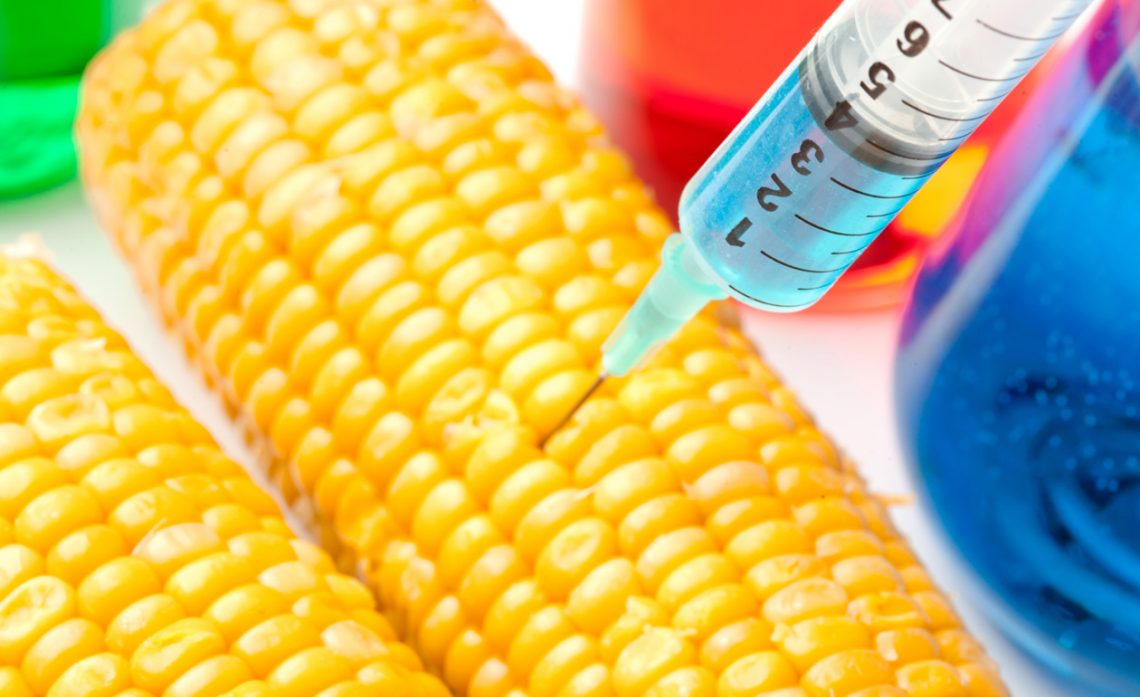 REDE ALTERNATIVA Alimentos transgênicos conheça os seus malefícios à saúde REDE ALTERNATIVA Alimentos transgênicos conheça os seus malefícios à saúde