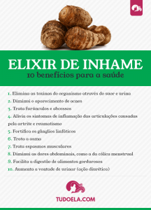 Elixir de inhame O que é indicações e benefícios Tudo Ela