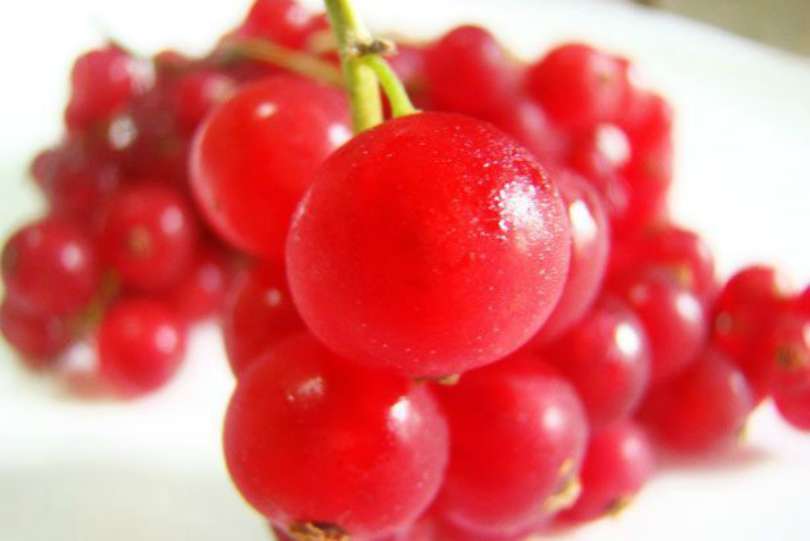 Benefícios da groselha saiba o que a frutinha vermelha pode fazer pela