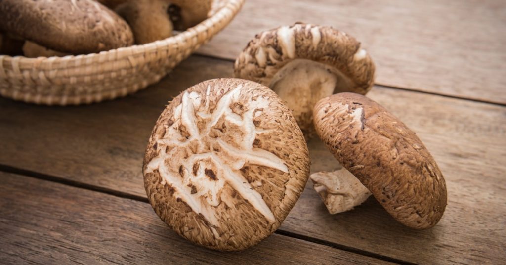 Benefícios do Shiitake para a imunidade, o coração e muitos outros!