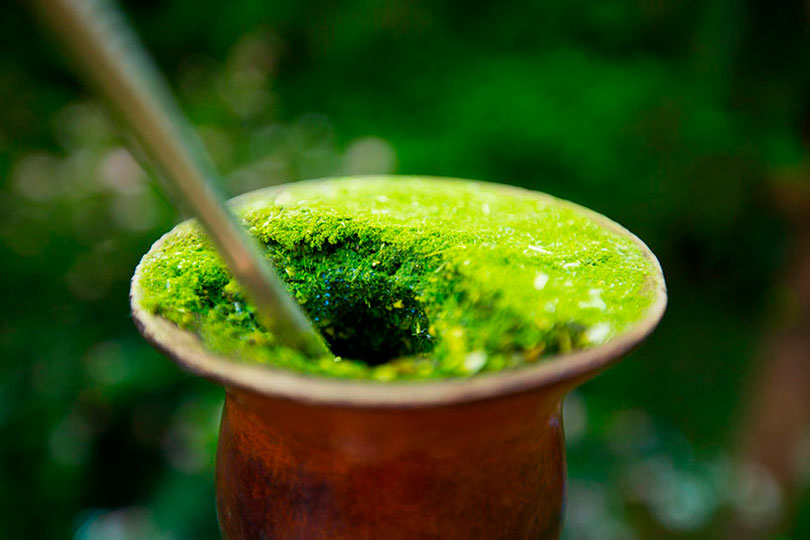 Benefícios do chimarrão para a saúde 6 motivos para consumir a bebida