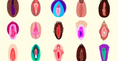 Tipos de vagina