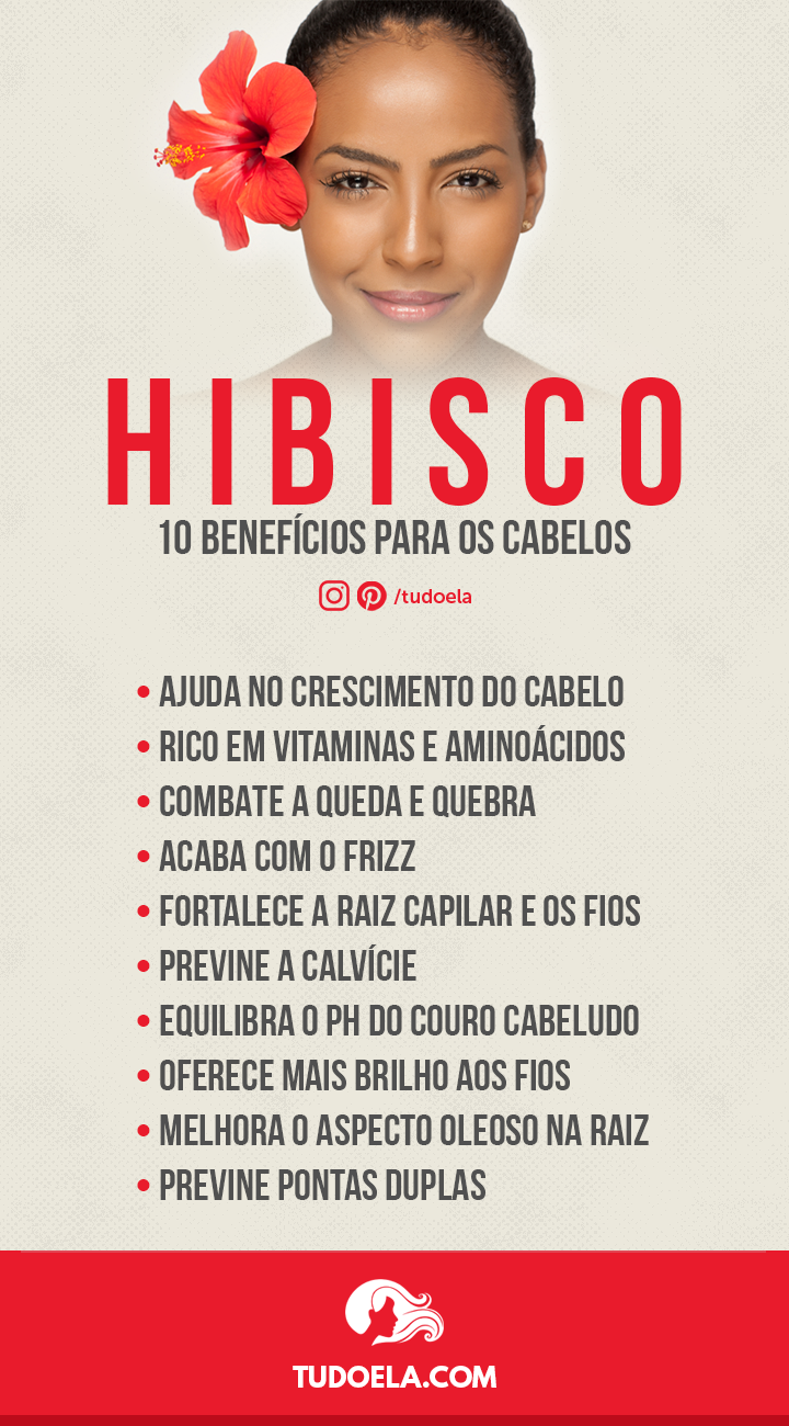 Benefícios do hibisco para os cabelos [Infográfico]