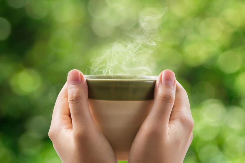 Benefícios do chá de porangaba