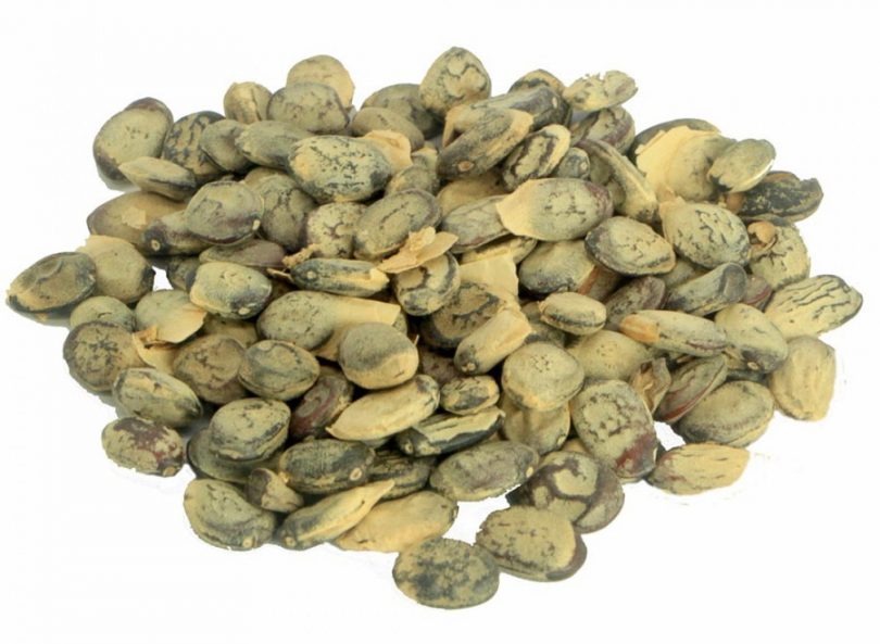 Chá de emburana Benefícios e principais usos Tudo Ela Chá de emburana Benefícios e principais usos Tudo Ela