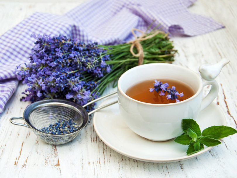 Como consumir e quais os benefícios do chá de alfazema? - Tudo Ela
