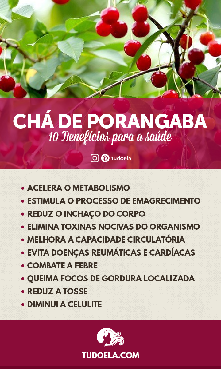 Propriedades, benefícios e receitas do chá de porangaba - Tudo Ela