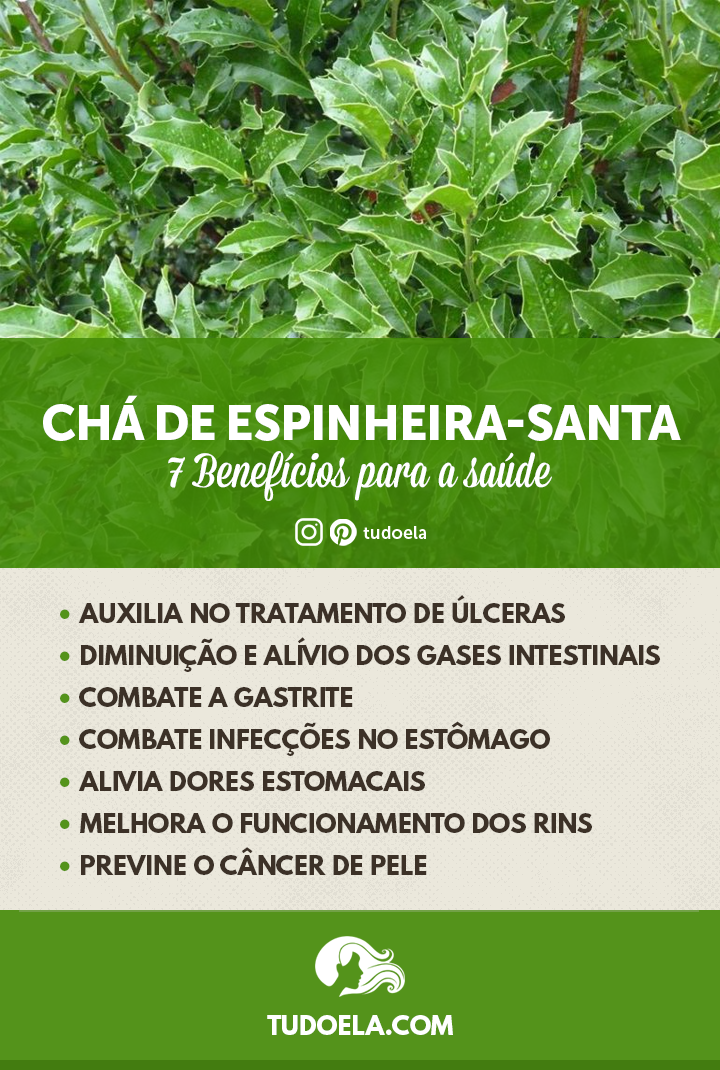 Chá de Espinheira-Santa