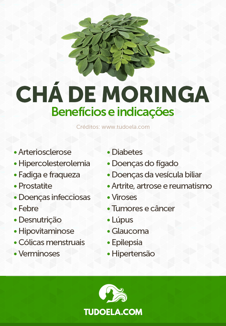 Chá de Moringa: benefícios para a saúde e indicações [Infográfico]