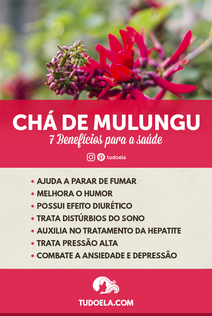 Chá de Mulungu: 7 benefícios para a saúde [Infográfico]