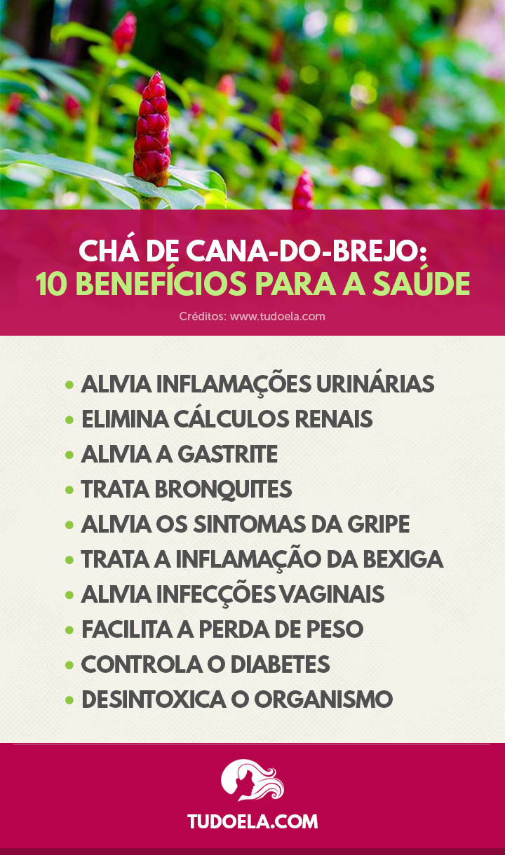 Chá de Cana-do-Brejo: benefícios para a saúde [Infográfico]