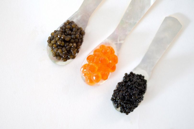 Caviar saiba tudo sobre esse alimento considerado de Caviar saiba tudo sobre esse alimento considerado de