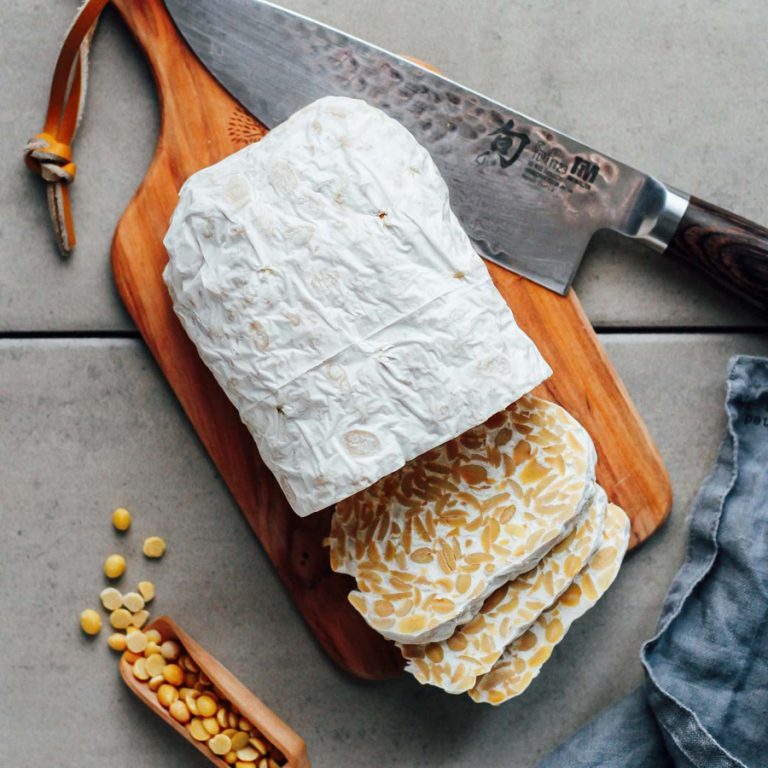 Tempeh benefícios, propriedades e como fazer Tudo Ela