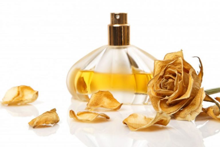 5 perfumes antigos que fizeram muito sucesso Tudo Ela